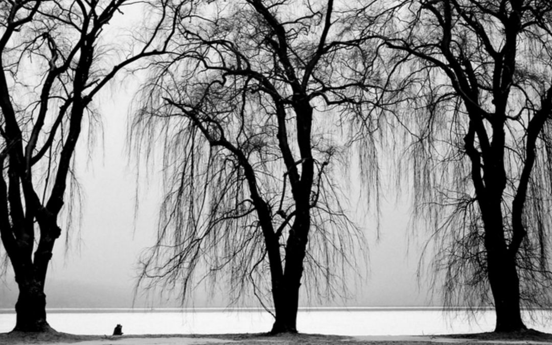 Thursday Threes: February 18, 2016