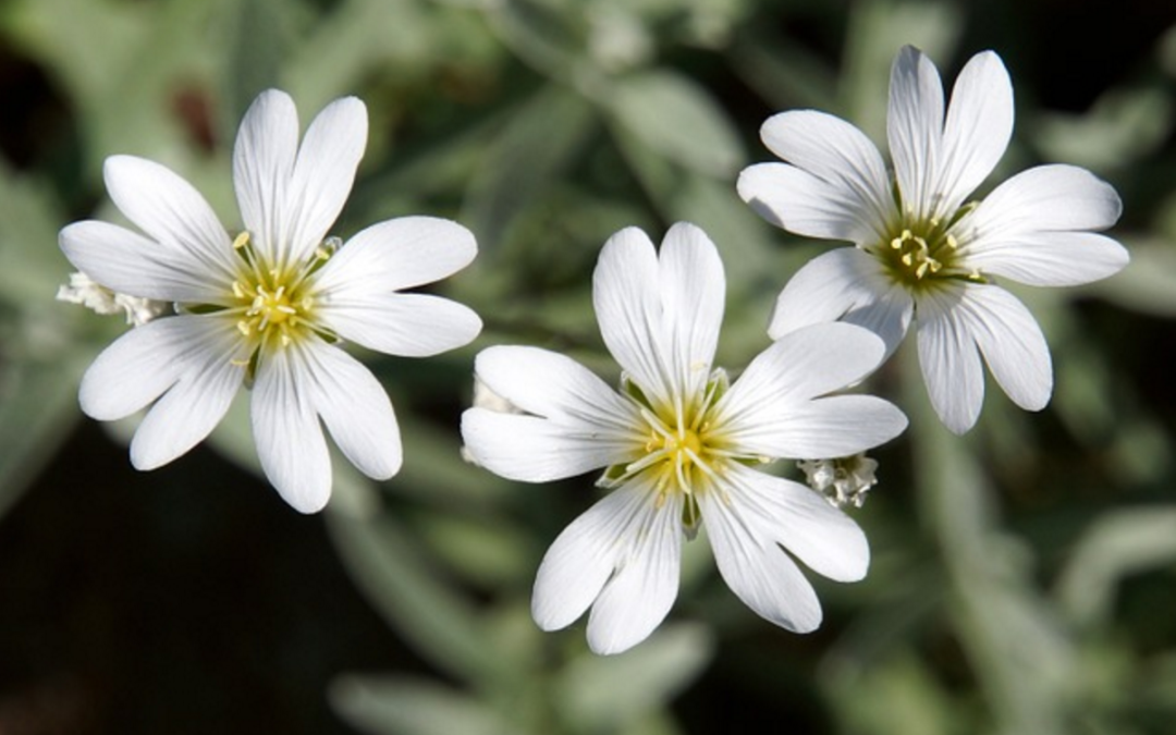 Thursday Threes: February 16, 2017