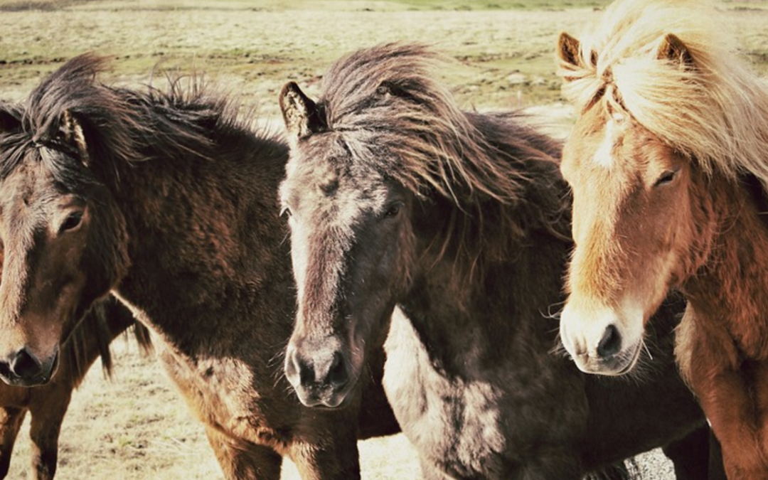 Thursday Threes: April 21, 2016