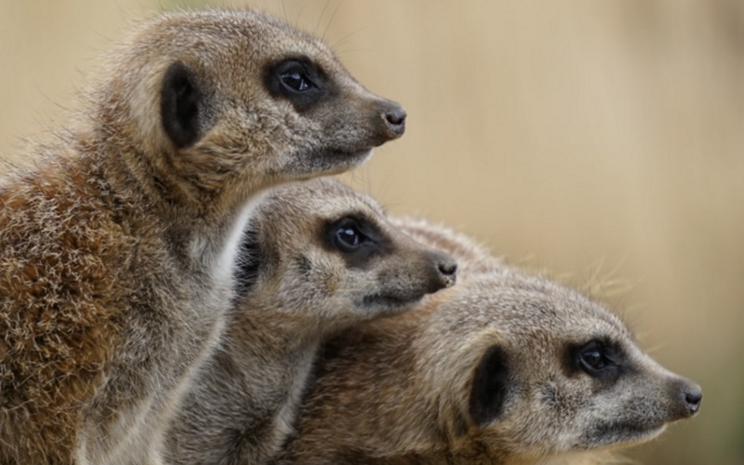 Thursday Threes: May 19, 2016