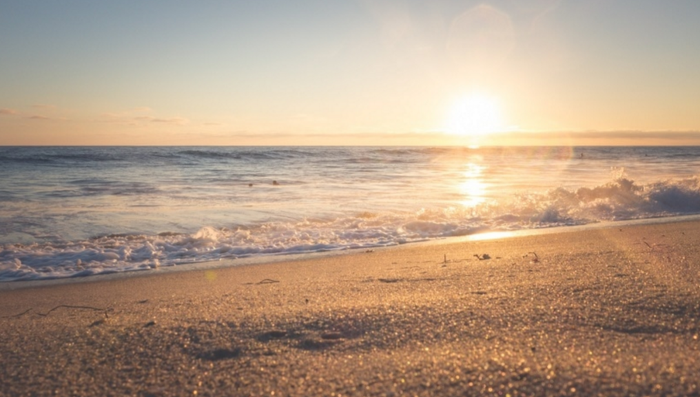 Sermon Saturdays: Wise Living from Proverbs 4:1-27