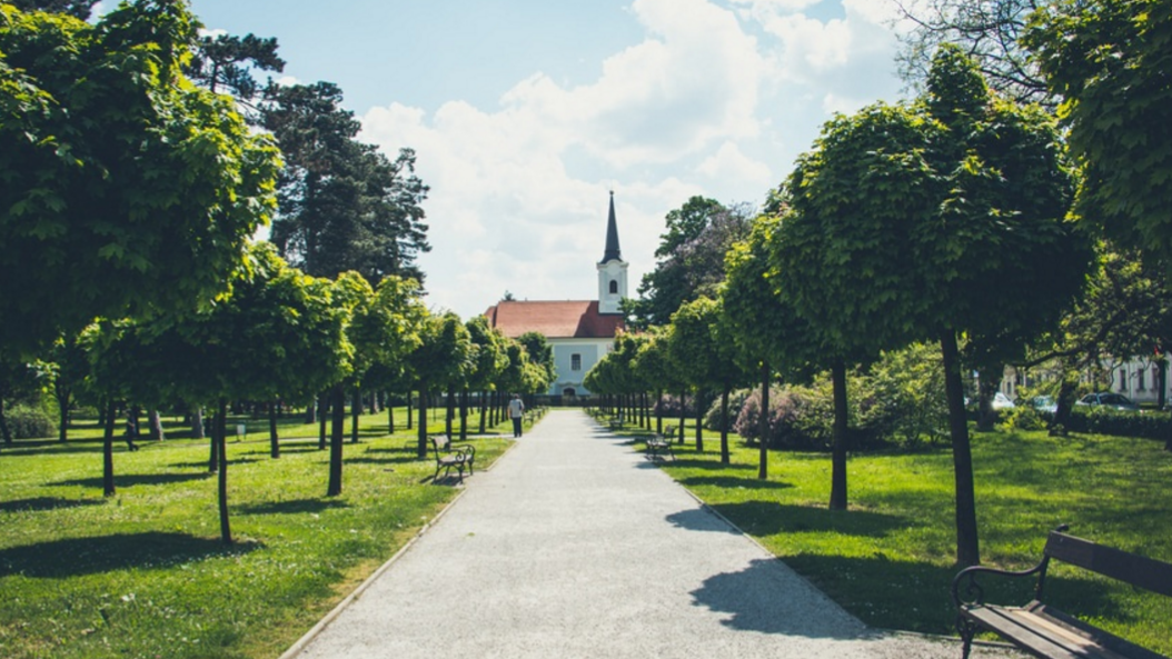 Three Disciplines Often Missing from Preaching Today