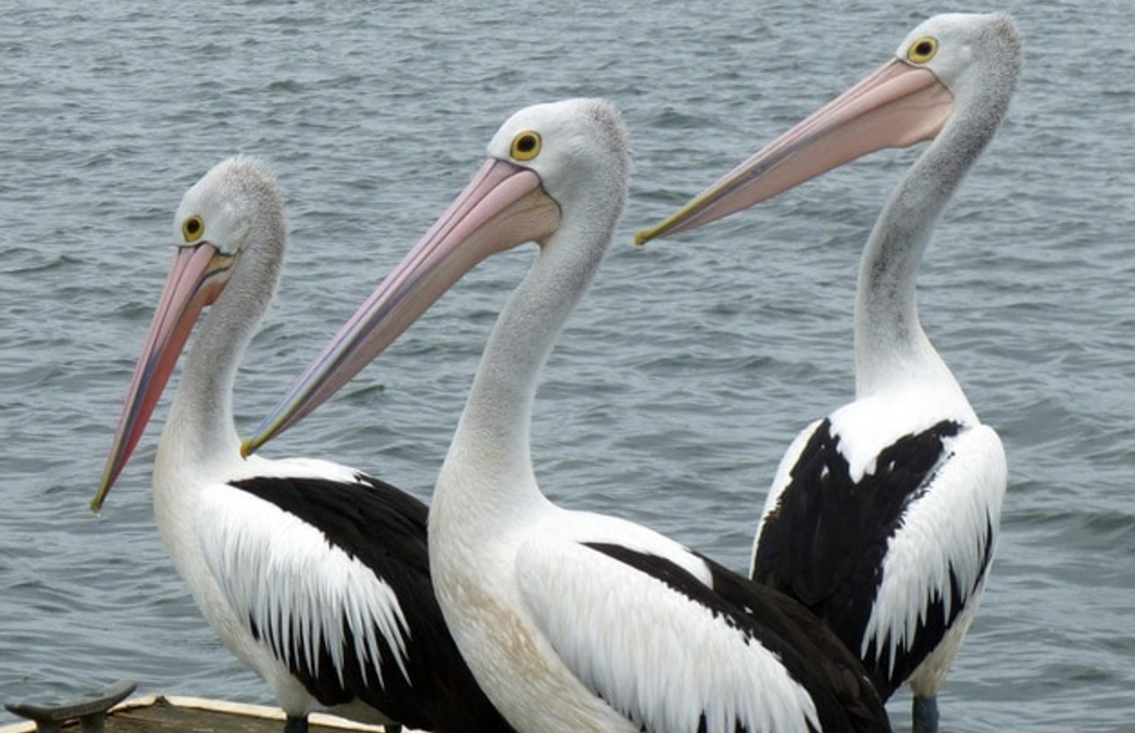 Thursday Threes: October 13, 2016