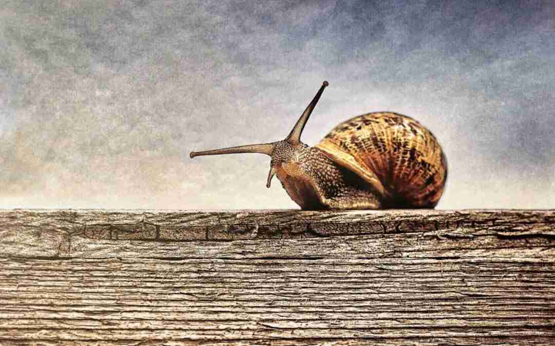 Don’t Confuse a Church’s Slow Pace with Complacency